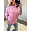 Pink Crochet Textured Knitted Sweater Top